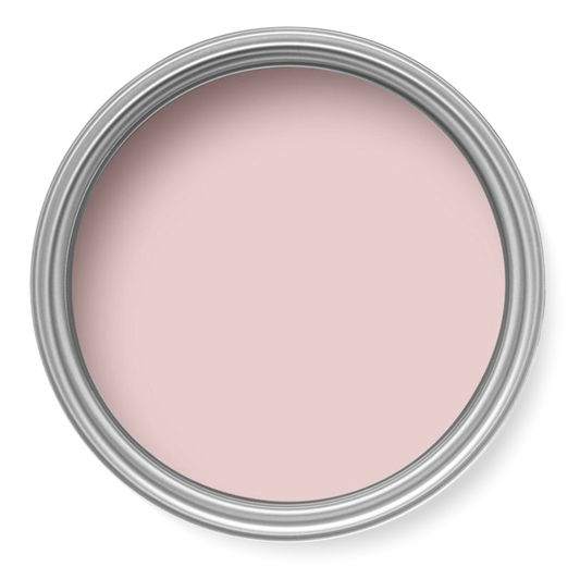 With pink being all the rage right now, the colour and wallpaper experts has identified the pink paint shade as 'one step ahead of the millennial pink phenomenon.