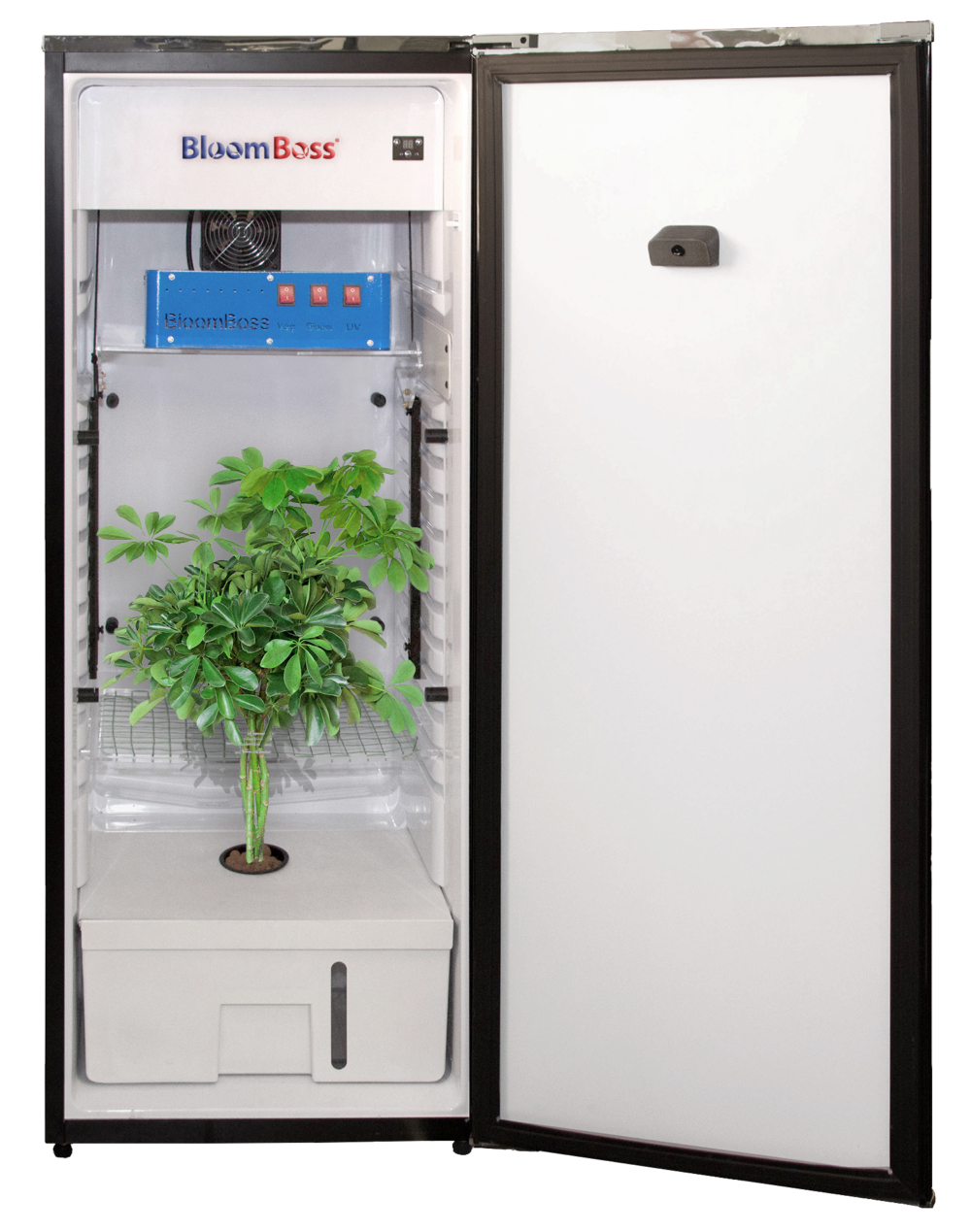 Cannabis Appliance Segment